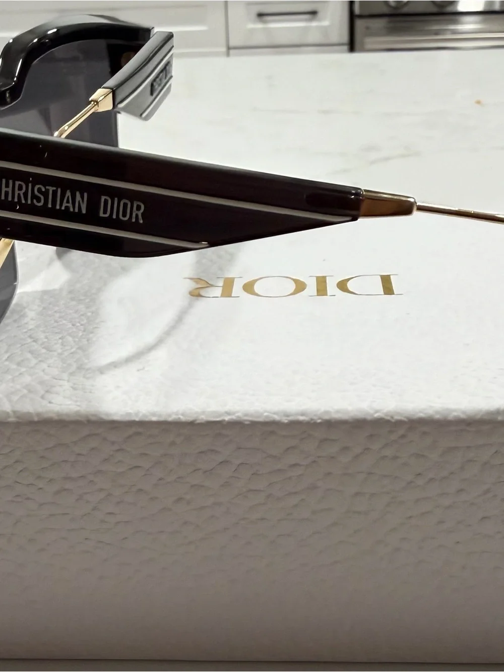 Dior modern shield